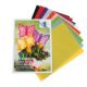 CARTA RISO CM. 50X70 FG.10 GR.25 COL. ASS.