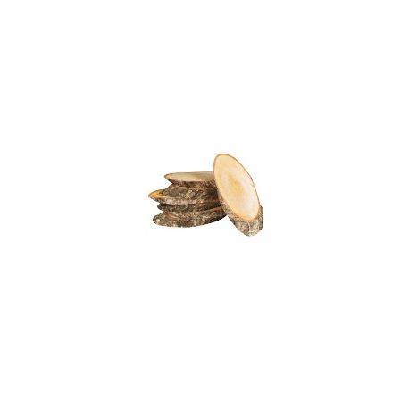 LEGNO DA DECORARE FETTE DI BETULLA MM.160X80 PZ.7