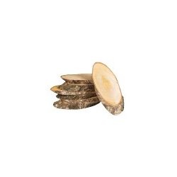LEGNO DA DECORARE FETTE DI BETULLA MM.25-45 PZ.140
