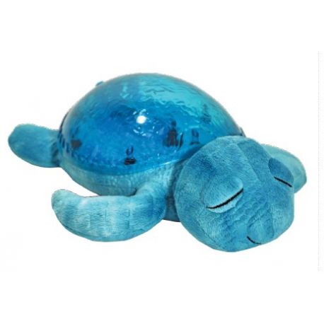 TARTARUGA DELLA TRANQUILLITA' MARE PER BAMBINI