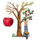 ALBERO 4 STAGIONI