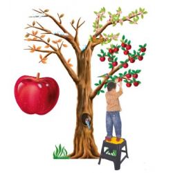 ALBERO 4 STAGIONI
