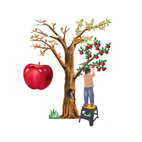 ALBERO 4 STAGIONI PER BAMBINI