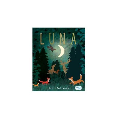 LIBRI ILLUSTRATI LUNA PER BAMBINI