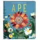 LIBRI ILLUSTRATI APE
