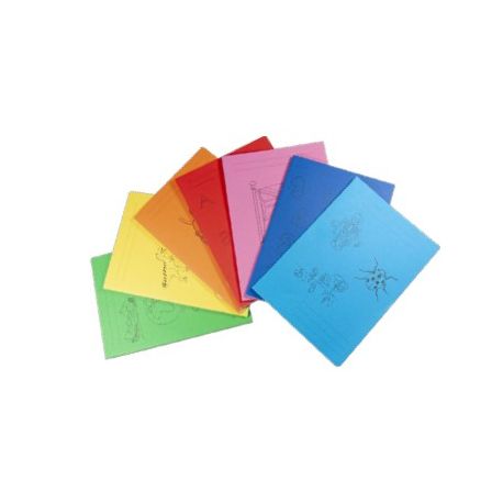MAXI QUADERNO 80 SCIENZE Q5