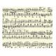 CARTA MUSICA 115 G - 21X30 - 5 FG