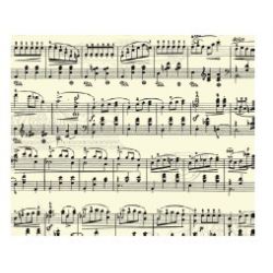 CARTA MUSICA 115 G - 21X30 - 5 FG
