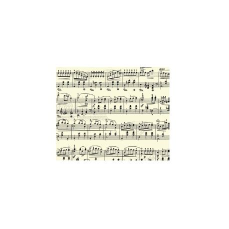 CARTA MUSICA 115 G - 21X30 - 5 FG