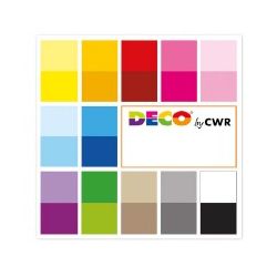 CARTA SCRAPBOOKING MM.305X305 FG. 24 ASS.