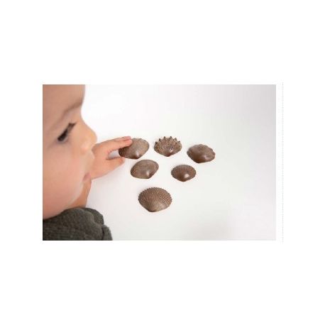 CONCHIGLIE DIVERTENTI PER BAMBINI