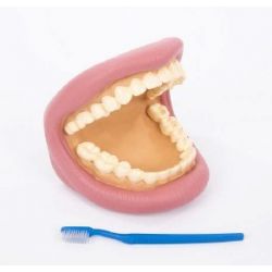DENTI E SPAZZOLINO