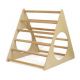 TRIANGOLO DI PIKLER