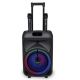 WIRELESS TROLLEY SPEAKER CON 2 MICROFONI