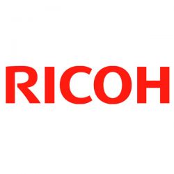 Toner Ricoh SPC-231 N/SF giallo 2,5K