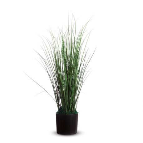 PIANTA ORNAMENTALE ERBA H55CM