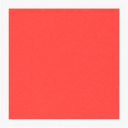 Cartoncini Fabriano 220gr 50x70 20fg rosso